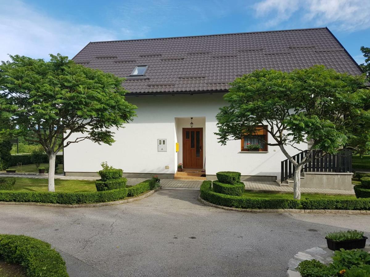 Apartment Lena Gornji Vaganac Exterior photo